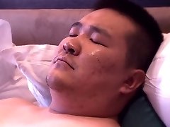 JOVEN OSITO JAPONES JOVEN OSITO JAPONES